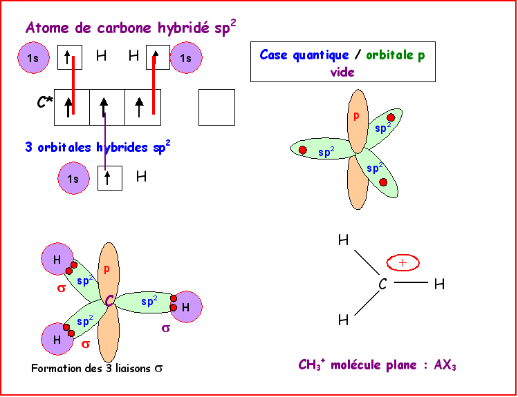 Le Carbone trigonal ou carbone sp2 — free download